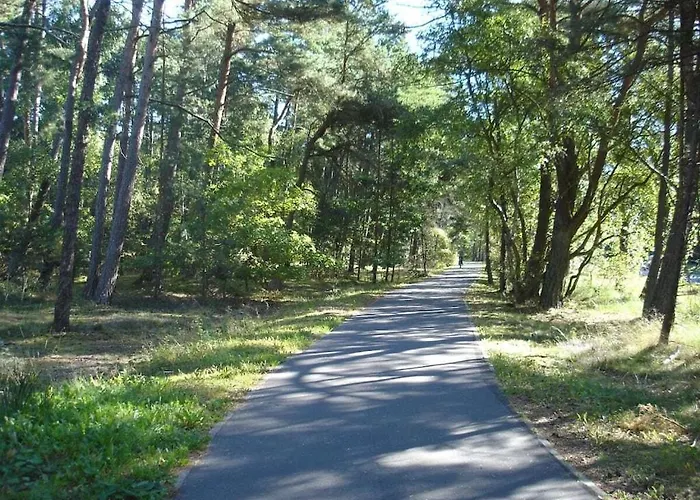 別荘 Naturana Type-a